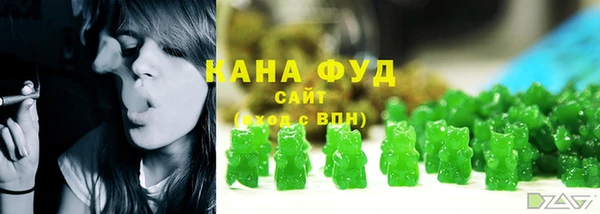 индика Магас