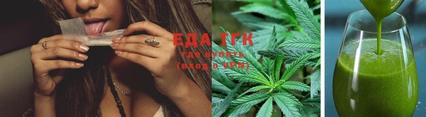 индика Магас