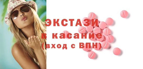 индика Магас