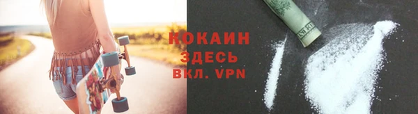 индика Магас