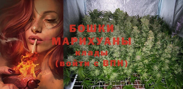индика Магас