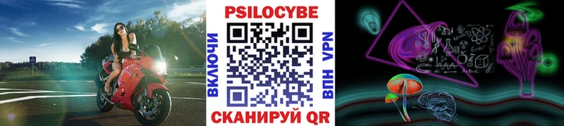 магазин    Эртиль  Псилоцибиновые грибы прущие грибы 